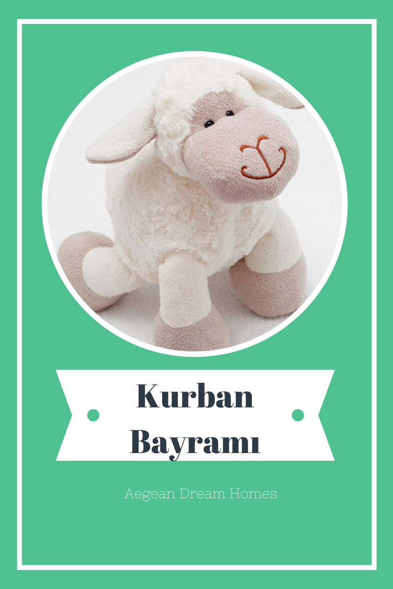Blog banner. Picture of cuddly sheep. Text overylay reads: Kurban Bayramı. Aegean Dream Homes