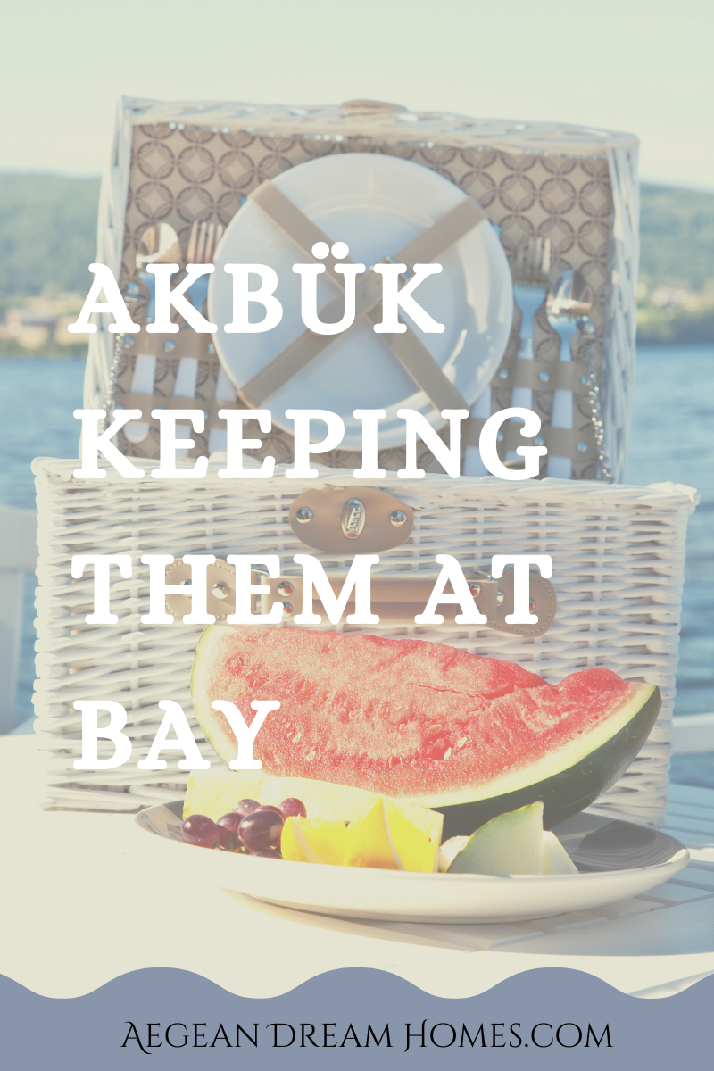 Akbuk resort banner. Picture of picnic in the bay. Text overlay reads: Akbük keeping them at bay.. Aegean Dream Homes.com